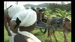 Gisa Negras da senzala